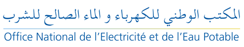 Office National de l'Électricité et de l'Eau Potable, Branche Électricité